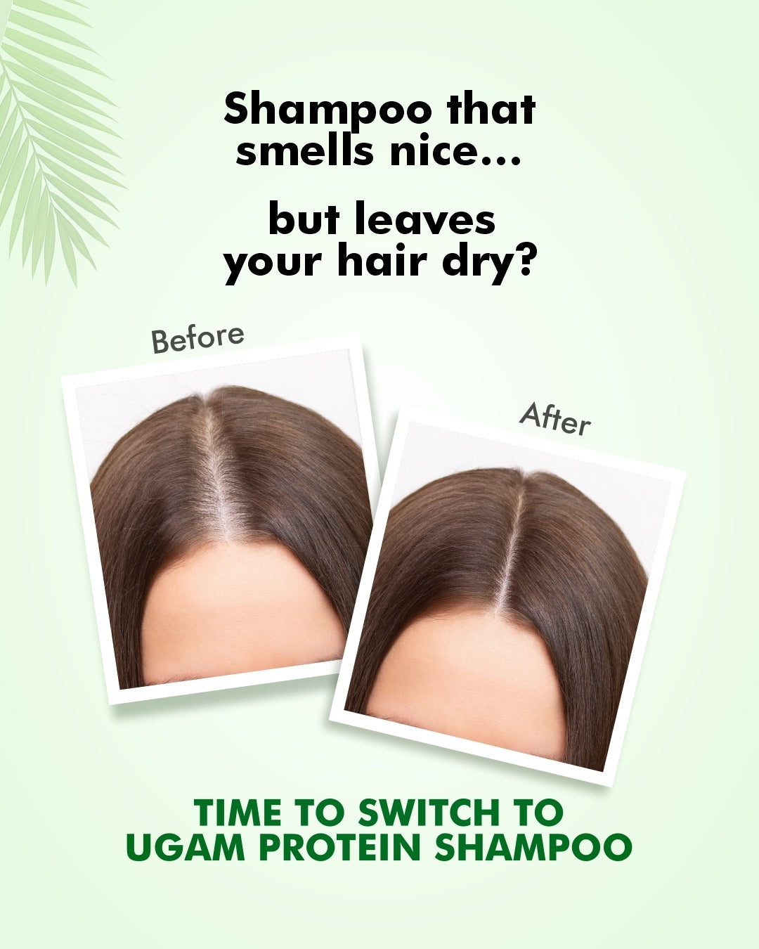 Protein Shampoo