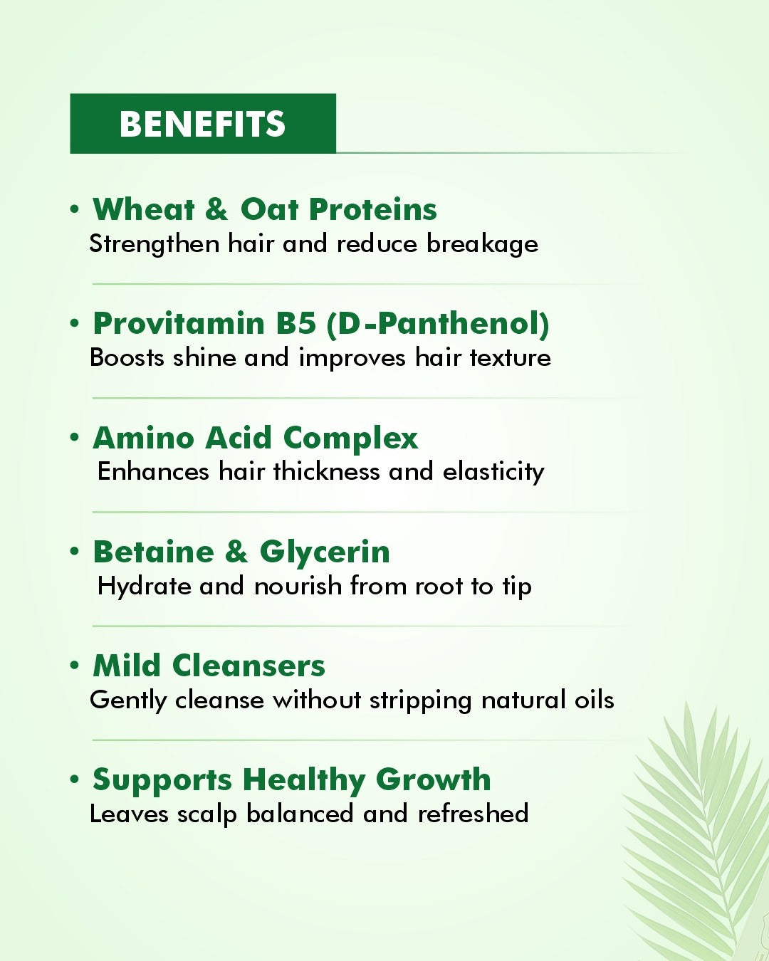 Protein Shampoo